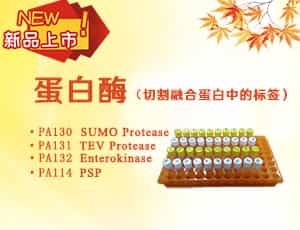 金秋十月，博迈德蛋白酶新品上市啦！