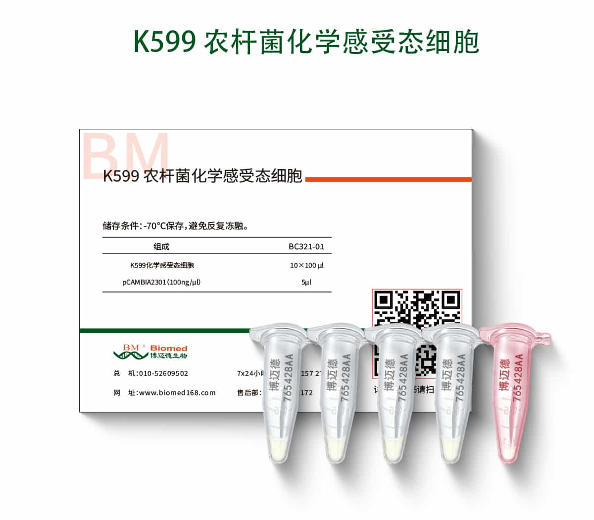 K599 农杆菌化学感受态细胞