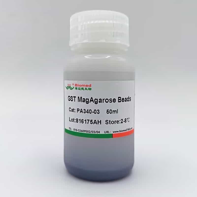 【博迈德新品】GST MagAgarose Beads