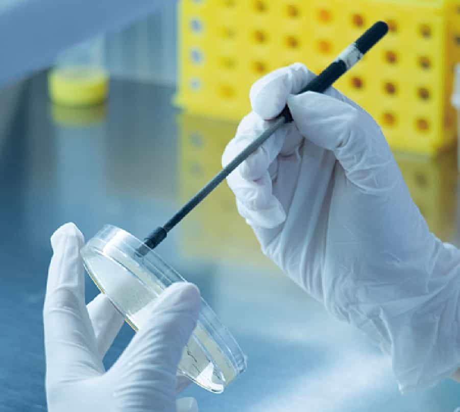 细菌16S菌种鉴定