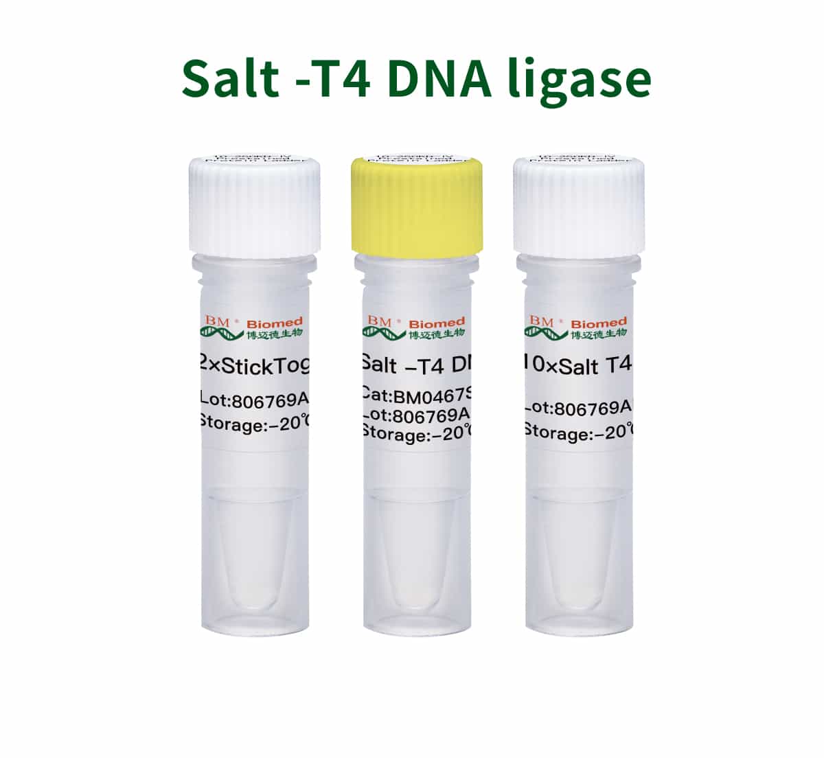 Salt -T4 DNA ligase