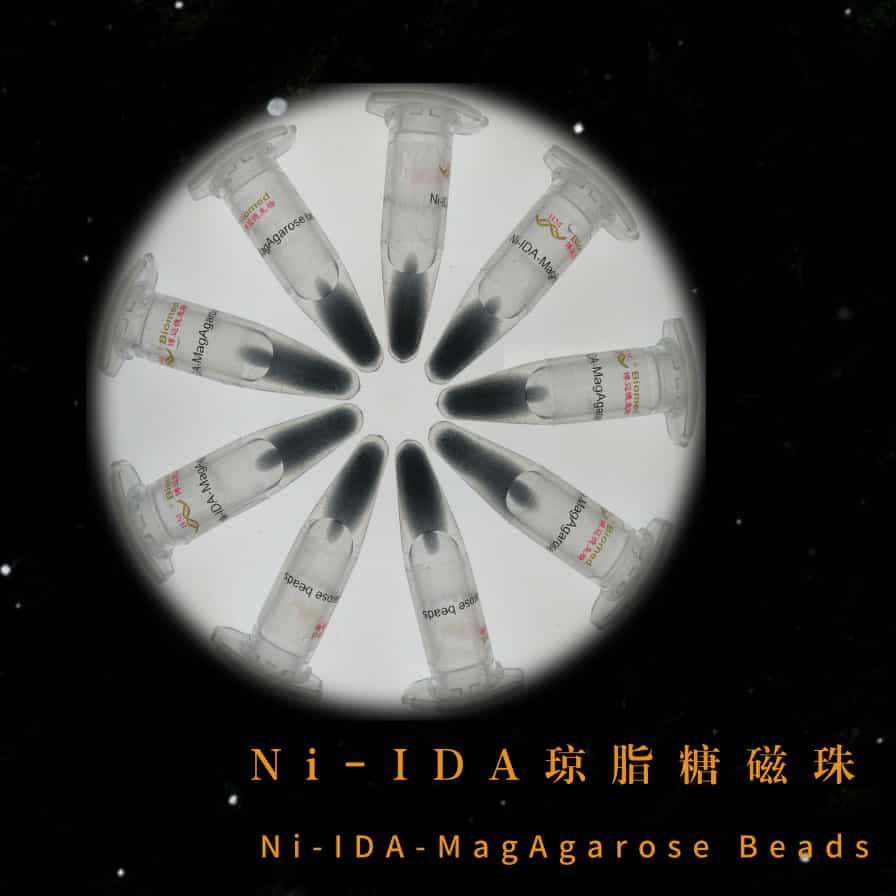 Ni-IDA MagAgarose Beads琼脂糖磁珠